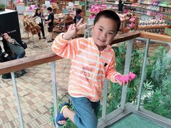 -济州岛泰迪熊博物馆