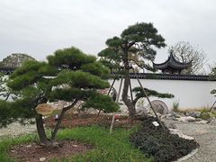 -上海滨江森林公园
