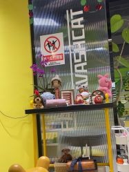 -洗脸猫·洗脸吧(北京大兴大悦春风里店)