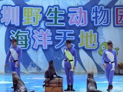 -深圳野生动物园
