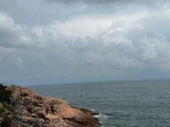 -广东惠东海龟国家级自然保护区