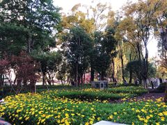 -云南省图书馆