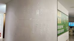 -金夫人美容