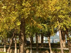 -东钱湖旅游度假区