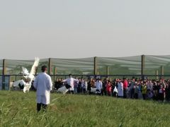 -盐城丹顶鹤湿地生态旅游区