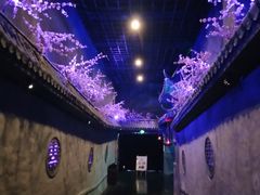 -芜湖方特东方神画