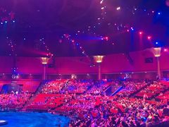 -珠海横琴长隆《卡卡虎奇遇记》