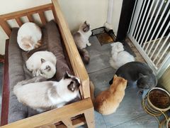 -衣裳街历史文化街区