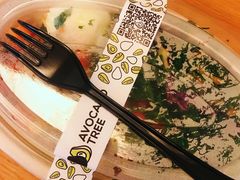 -油梨树AVOCADO TREE(望京店)