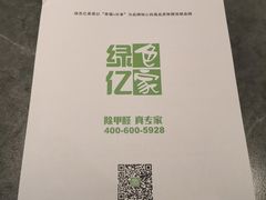 -绿色亿家除甲醛机构