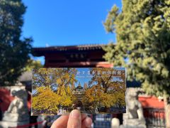 -北京石刻艺术博物馆(五塔寺)