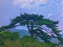 -妙峰山风景名胜区