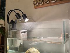 -时光花园(白鹭洲店)