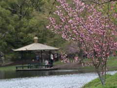 -上海共青森林公园