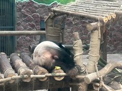-黔灵山公园