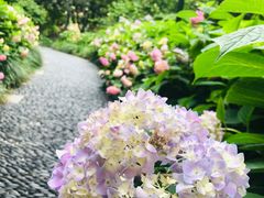 -常州古运河南大街文化旅游区-人民公园