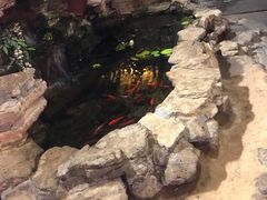 -江宁会馆(劈柴院店)