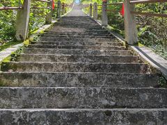 -江西阳明山国家森林公园