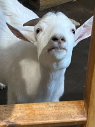 -Zoolung Zoolung动物主题公园(海信广场店)