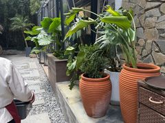 -陈熹公民族美食文化餐厅(中华广场店)