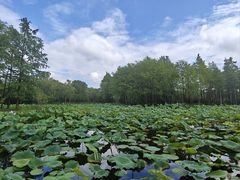 -长广溪湿地公园