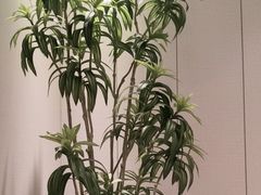-东方威尼斯温泉酒店