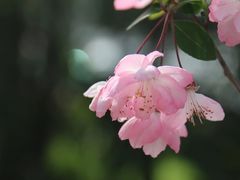 -莫愁湖公园