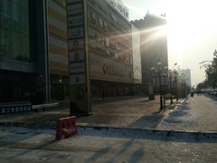 -高新活力汇Vitality