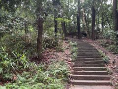 -九曜山