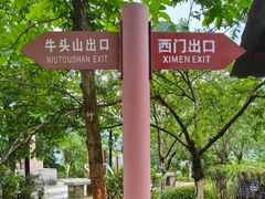 -天鹿湖森林公园