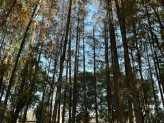 -乌镇东栅景区