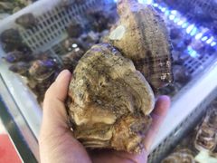 -日照大牌檔•小船海鲜(万平口店)