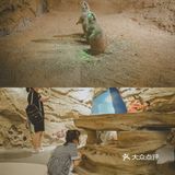 【旅】青岛亲子游必打卡，科学启蒙就在海信探索中心