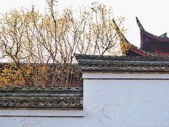 -宁波市保国寺古建筑博物馆