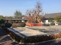 -西安汉城湖景区