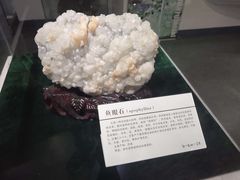 -中国第四纪冰川遗迹陈列馆