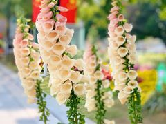 -海心沙亚运公园