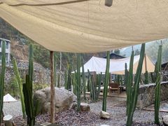 -MOJ coffee(瓯海泽雅水碓坑店)