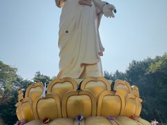 -西双版纳总佛寺