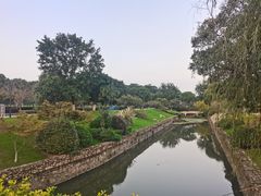 -羊山湖公园