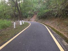 -分塔山省级森林公园