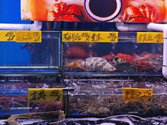 -四海之家(蛇口店)