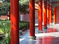-开福禅寺