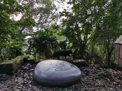 -南山植物园