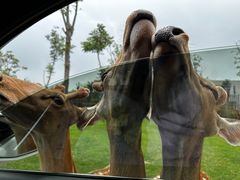 -南京金牛湖风景区