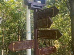 -广州白江湖森林公园