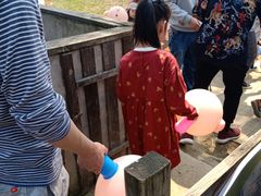 -田园东方蜜桃村的田野营地