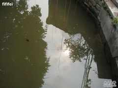 -小洲村