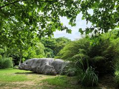 -上海吴淞炮台湾国家湿地公园