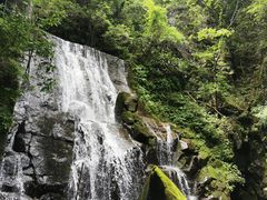 -藏龙百瀑风景区